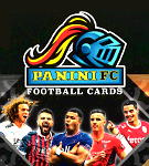 Panini Ligue 1 Stickers & Cards