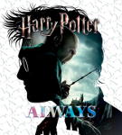 Harry Potter Stickers + Cards